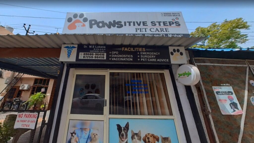 pawsitive steps pet care