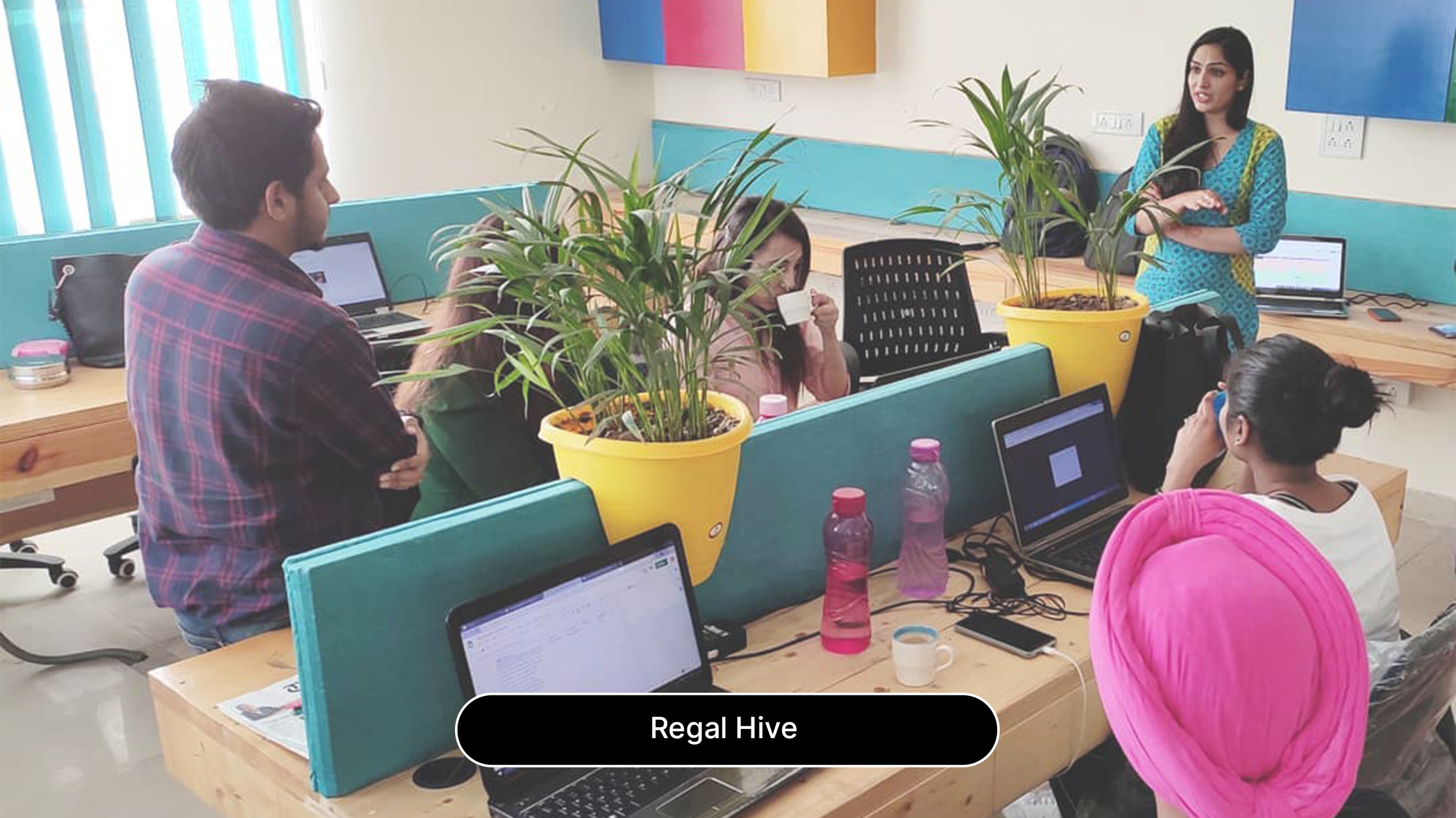 Regal Hive Coworking Space in Mohali