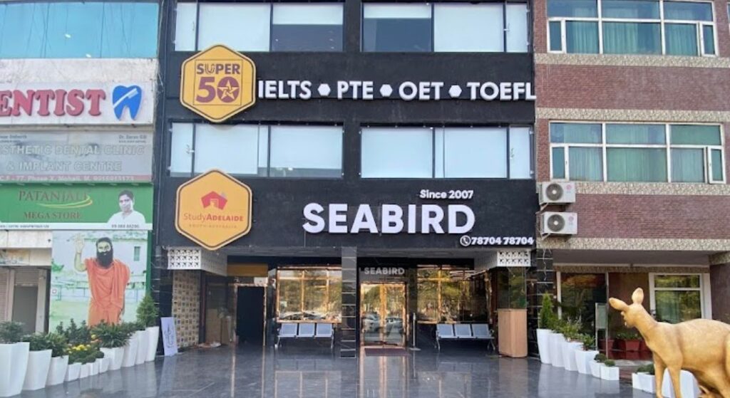 Seabird International