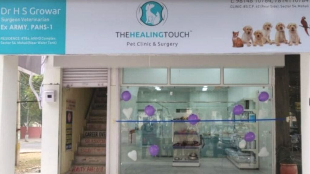 the healing touch pet care
