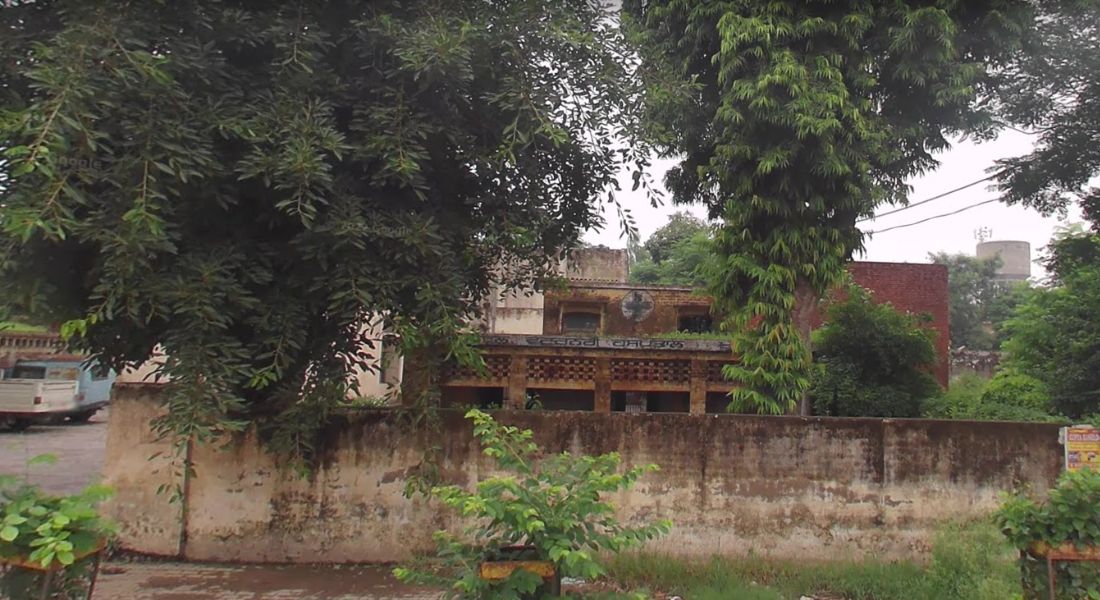 Top 10 dog hospitals in Mohali for complete Veterinary Care