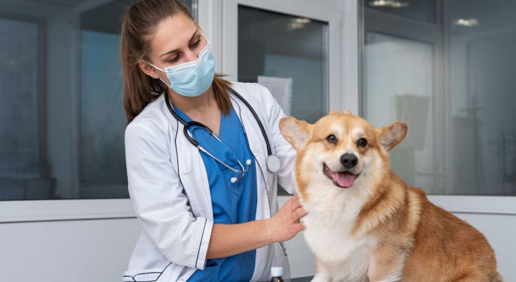 a doctor with dog