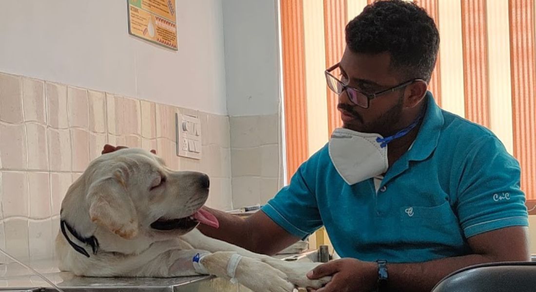 Top 10 dog hospitals in Mohali for complete Veterinary Care