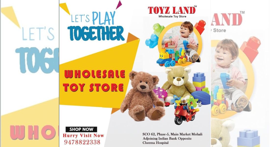 Toyz Land Wholesale toy store in mohali