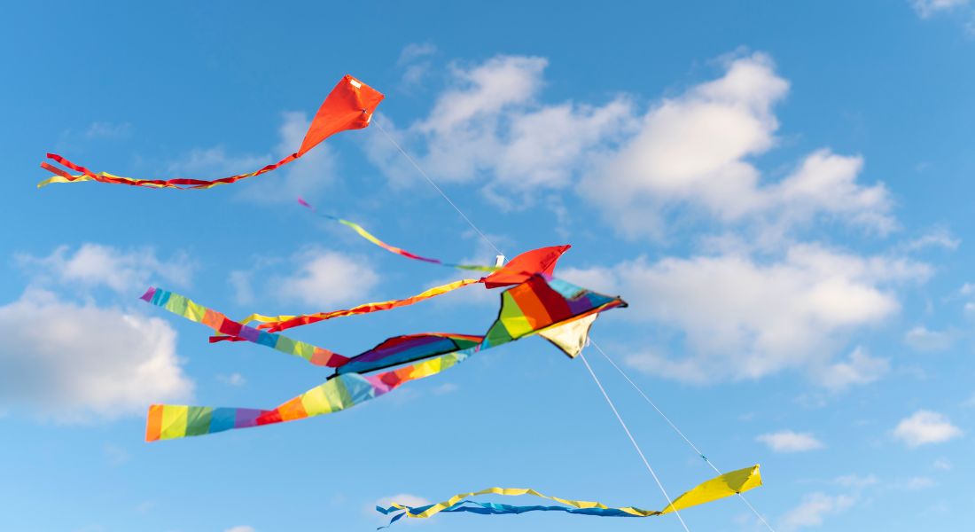 Basant Panchmi, one of the festivals of Punjab 