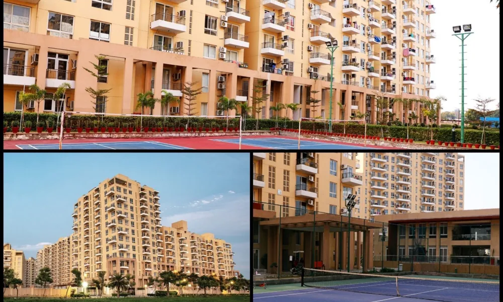 collage of Emaar MGF Mohali Sector 105