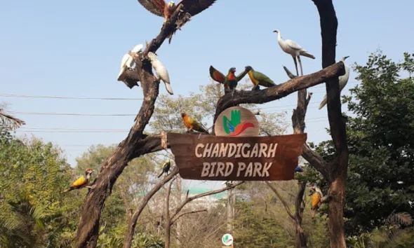 The main entry gate of Bird Park Chandigarh