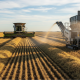Permanent CAQM Cell for Paddy Stubble Management in Mohali