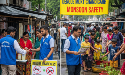 Chandigarh Prepares for Dengue Control Amid Monsoon Season