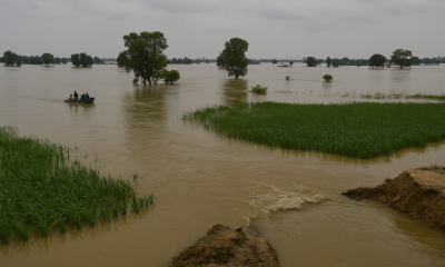 Flooding in Kapurthala: Beas River Swells and Impacts Farmers