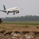 Bird Strikes Grows as Illegal Butcheries Near Chandigarh Airport