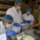 Chandigarh and Mohali Crack Down on Food Safety Violations