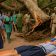 Court Orders Compensation After Tree Accident at Carmel Convent