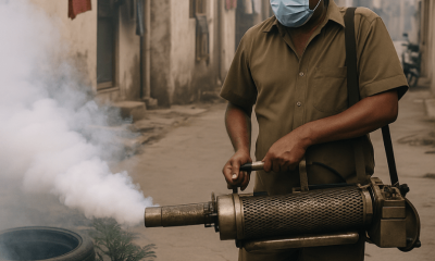 Dengue Cases Rise Sharply in Ludhiana_ What You Need to Know