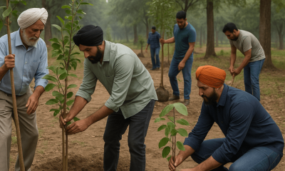 Landowners Ready to Join Forces to Plant 1000 Trees in Jalandhar