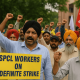 Ludhiana_ Outsourced Workers of PSPCL Plan Indefinite Strike