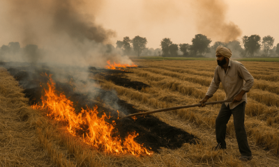 Punjab Sees Record Spike in Stubble Fires as Harvesting Picks Up