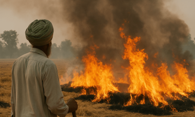Punjab Sees Rise in Farm Fires_ 202 New Cases in Recent Days