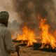 Punjab Sees Rise in Farm Fires_ 202 New Cases in Recent Days