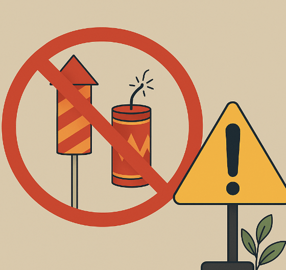 Strict Firecracker Rules in Mohali for Upcoming Festivals
