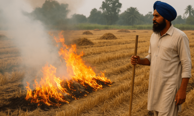 Punjab's Efforts to Control Farm Fires_ A Closer Look