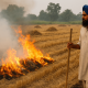 Punjab's Efforts to Control Farm Fires_ A Closer Look