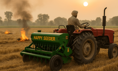 Stubble Fires Decrease in Jalandhar and Kapurthala Amid Harvest Season