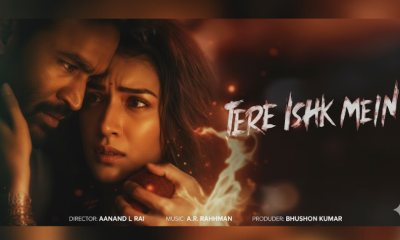 Tere Ishq Mein Review Dhanush and Kriti Sanon's Intense Romance Wins Hearts